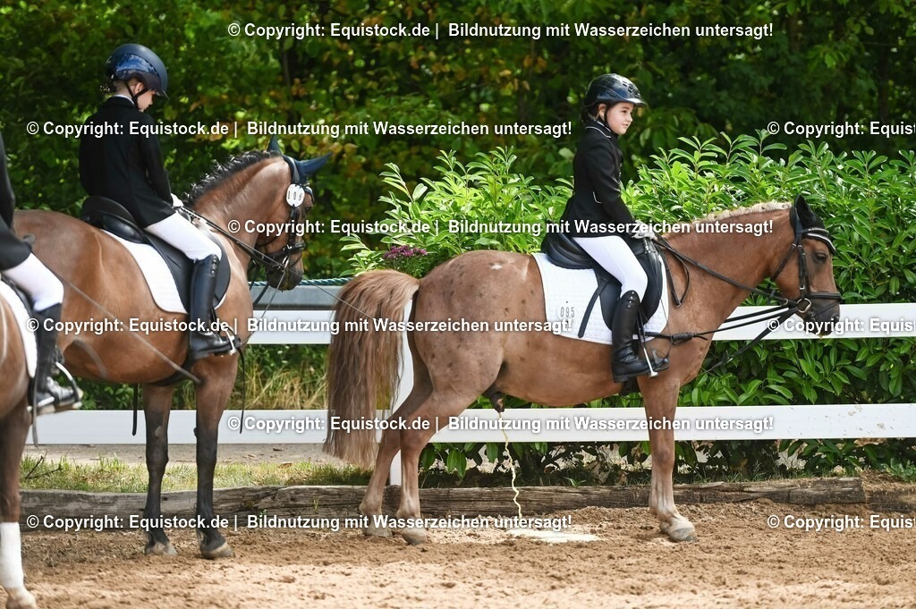 20230716_10-3_Reiter-WB Schritt - Trab - Galopp_0135 | equistock