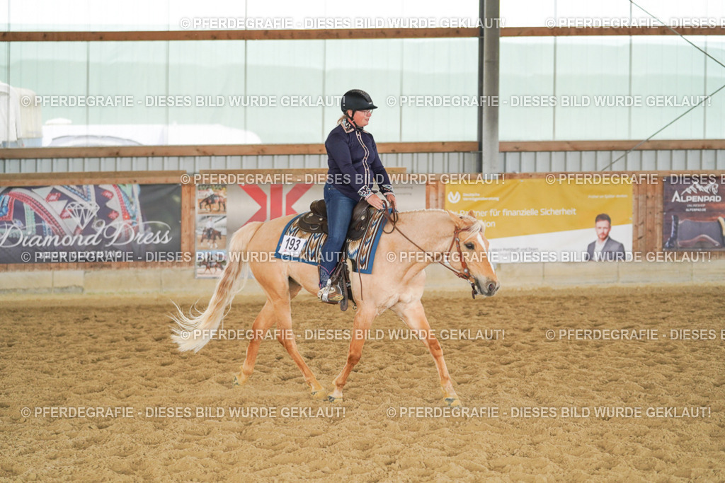 DSC06387 | Pferdegrafie