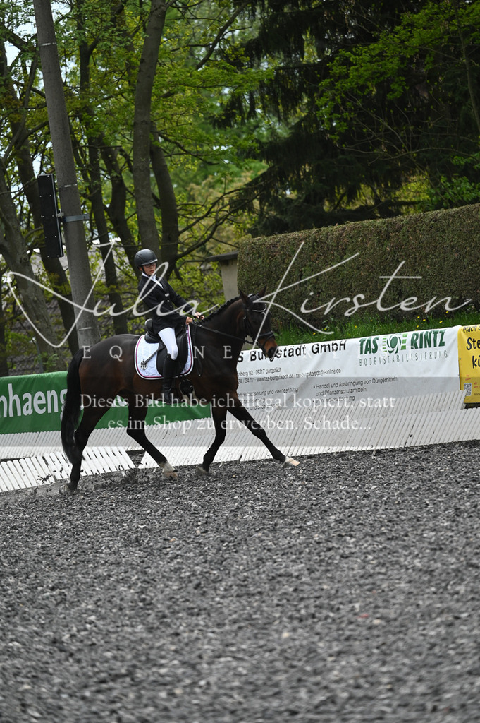 20230512_JK-Röhrsdorf-07-268 | Pferde- und Turnierfotografie in Westsachsen. Pferdeportraits, Auftragszeichnungen und intuitive Kunst.
