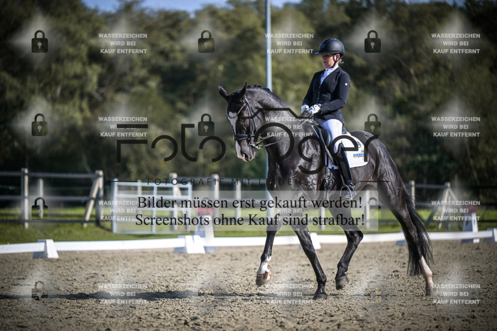 DOS_2896 | Entdecke hochwertige Reitturnierfotos von Foto Oger. Professionell, emotional und authentisch – jetzt Lieblingsmomente im Shop bestellen.Deutschlandweite Turnierfotografie. - Realisiert mit Pictrs.com
