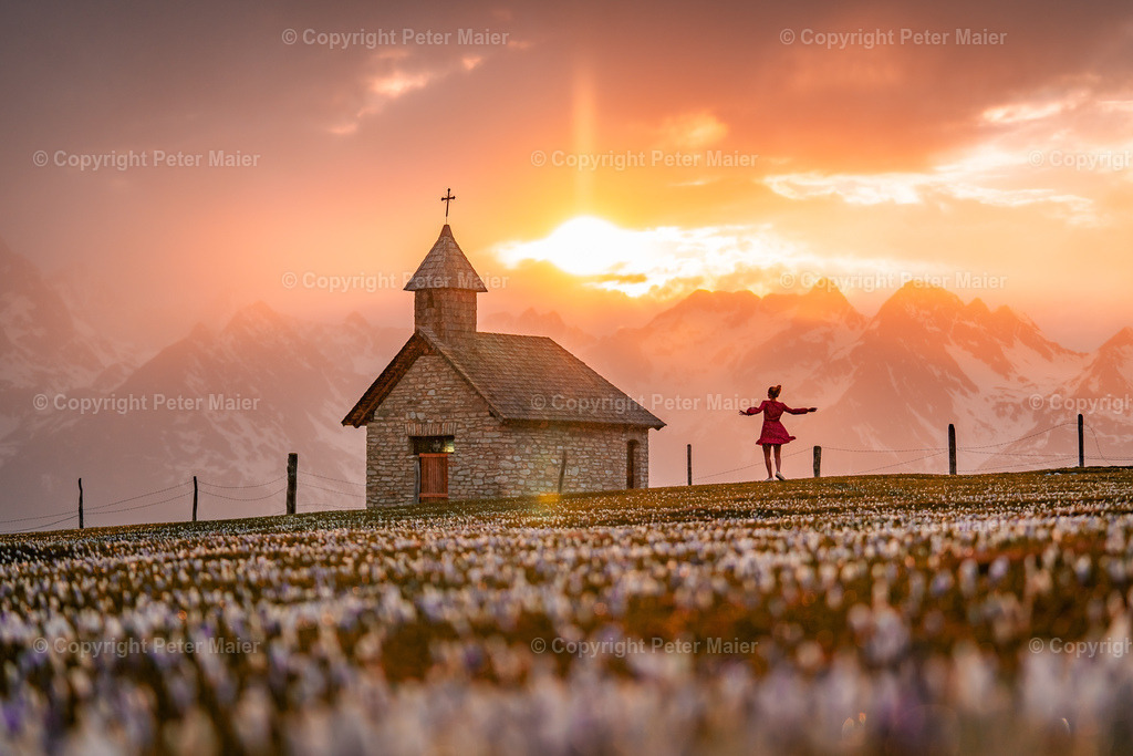 Glocknerblick-450 | piet_flosse