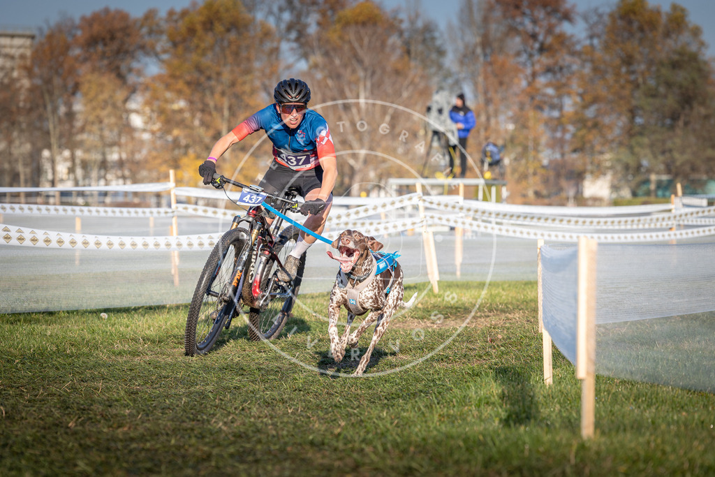 CaniXpix_0L8A4250 | Hundefotografie, Tierfotograf, Pfotenfotografie, Fotoshooting Hund, Hunde Portrait, Hundesport, Hundeportraits, Heideshooting, Hunde, Sportfotograf, Hundefotograf, Turnierhundsport, THS,  - Realisiert mit Pictrs.com