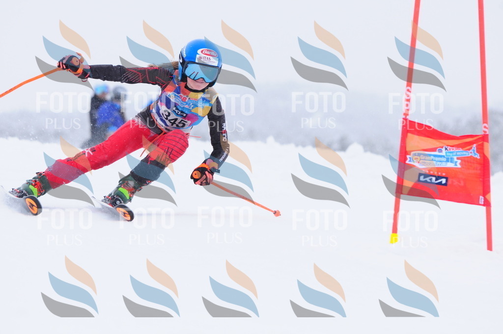 C3702 | holidayphoto