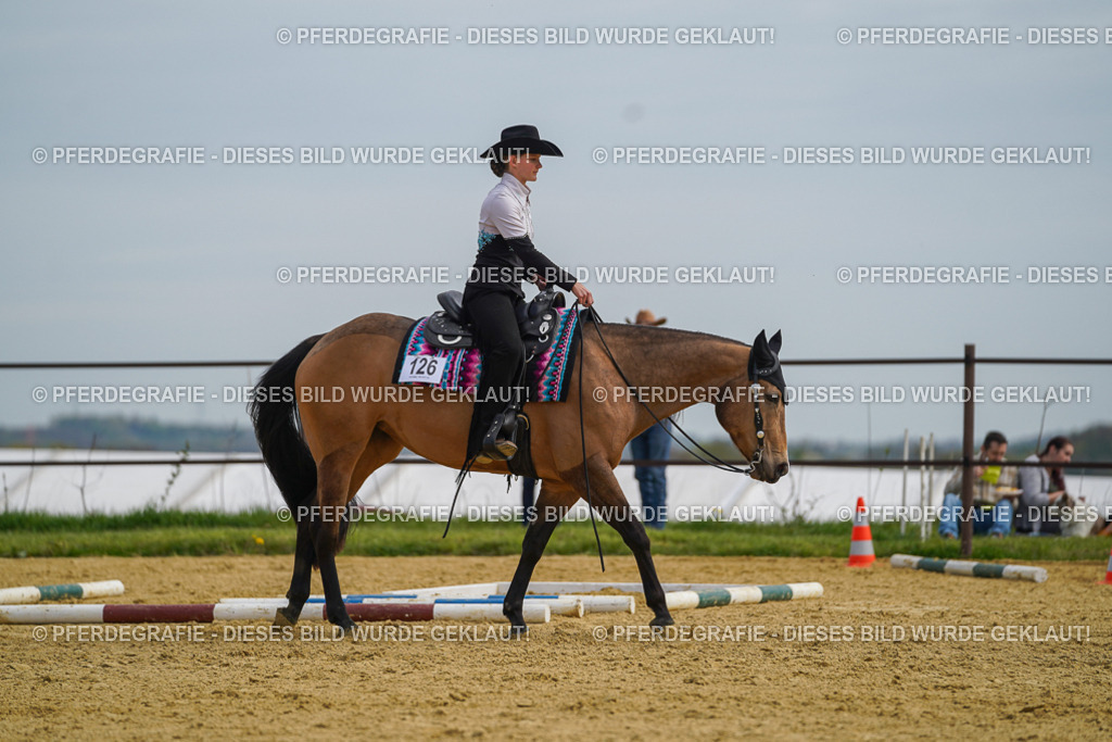 DSC03744 | Pferdegrafie