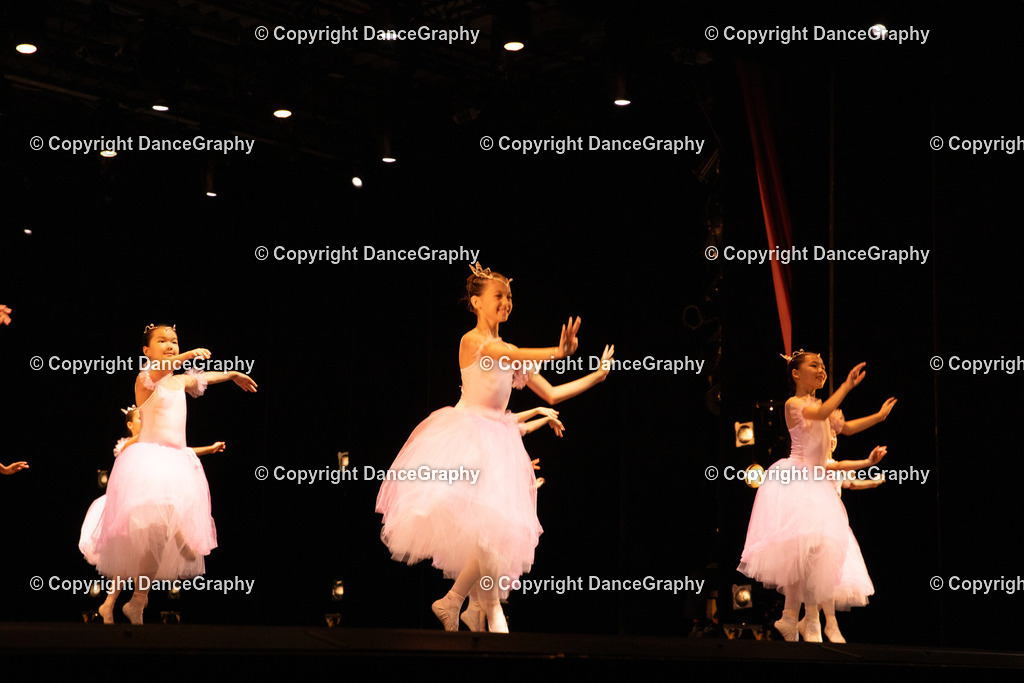 GPHY4686 | DanceGraphy - Realisiert mit Pictrs.com