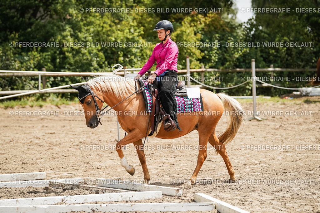 DSC08014 | Pferdegrafie