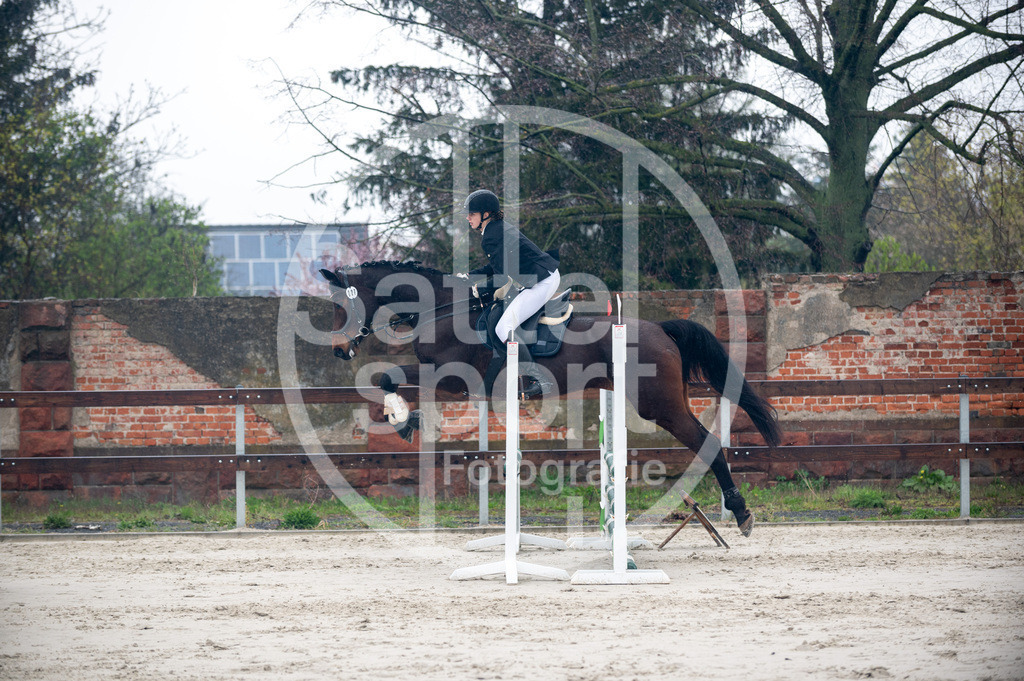 DSC_8990 | sattelsport - Realisiert mit Pictrs.com