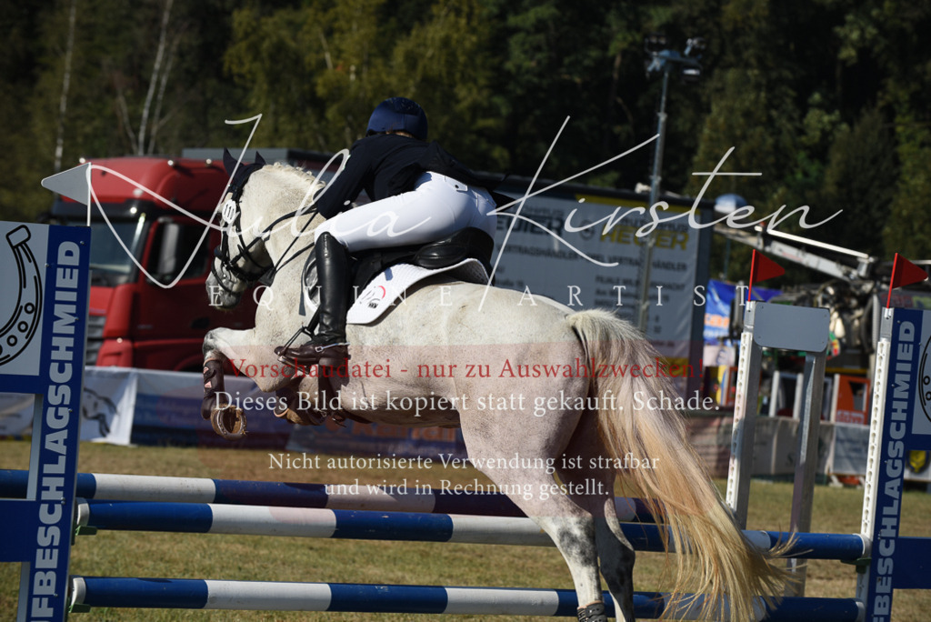 DSC_5318 | Pferde- und Turnierfotografie in Westsachsen. Pferdeportraits, Auftragszeichnungen und intuitive Kunst.
