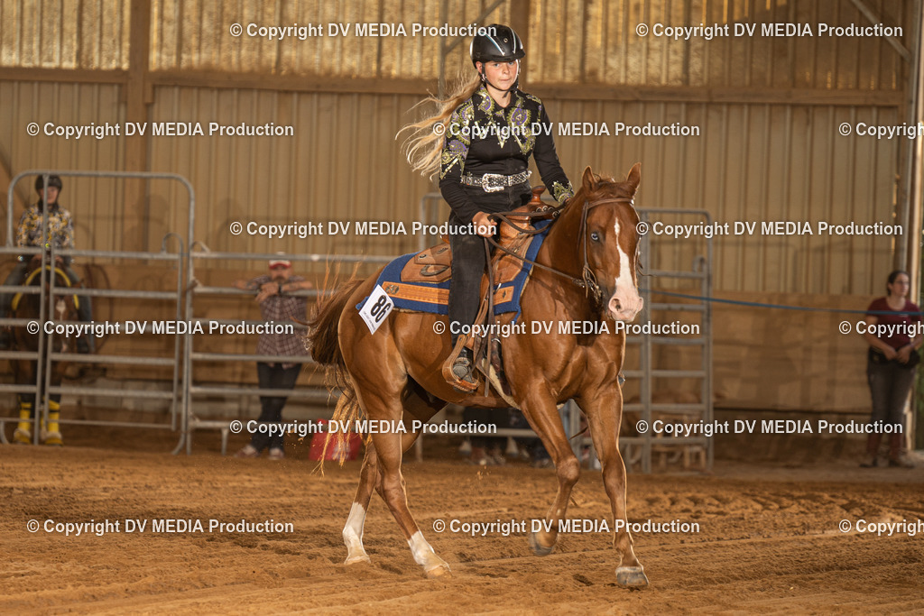 NID03819 | dv-media-shop - Realisiert mit Pictrs.com