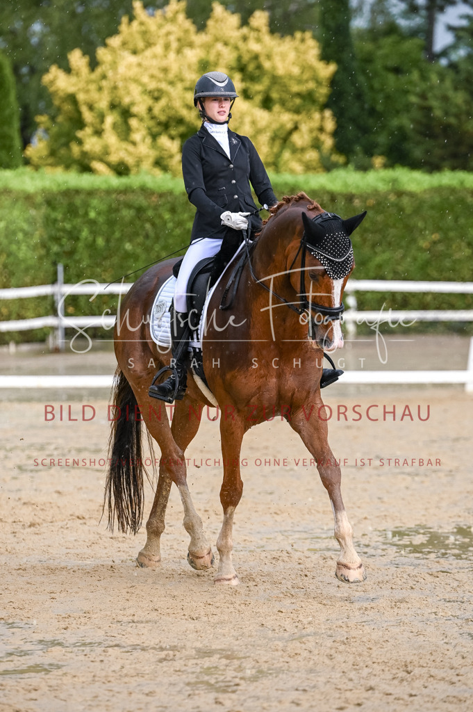 Schugtsche-Aluta25-55.Dressurreiterprf.L1Tr-338 | Schugtsche Fotografie - Realisiert mit Pictrs.com
