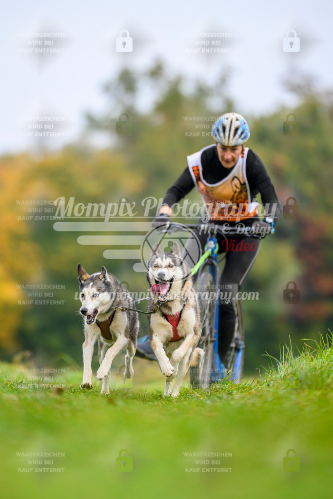 MompixPhotography_CDLBDB2025_DI_DS-18 | PayLife
