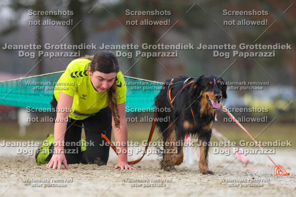 Dog Paparazzi - Strongdog North Mrz26-3734 | Dog Paparazzi Jeanette Grottendiek Fotografie & Videografie - Realisiert mit Pictrs.com