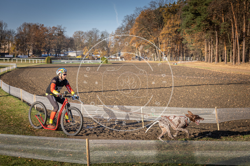CaniXpix_DV3A2039 | Hundefotografie, Tierfotograf, Pfotenfotografie, Fotoshooting Hund, Hunde Portrait, Hundesport, Hundeportraits, Heideshooting, Hunde, Sportfotograf, Hundefotograf, Turnierhundsport, THS,  - Realisiert mit Pictrs.com