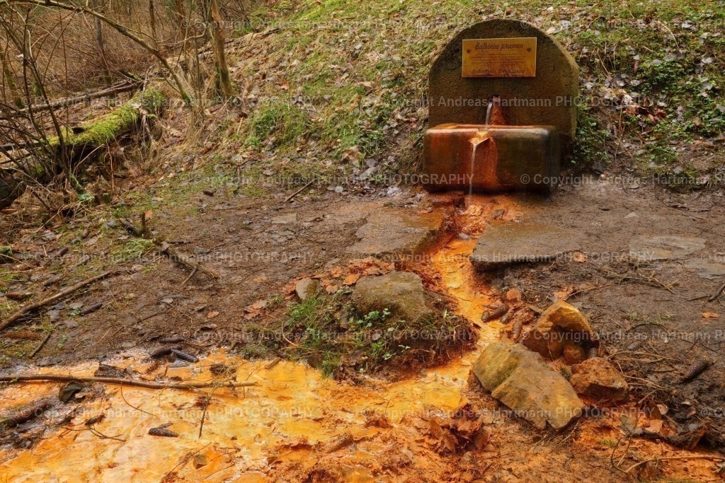 Balbinquelle | Balbinquelle Marienbad - Realisiert mit Pictrs.com