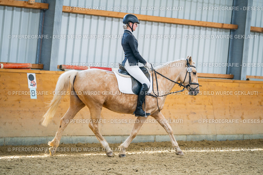 DSC04411 | Pferdegrafie