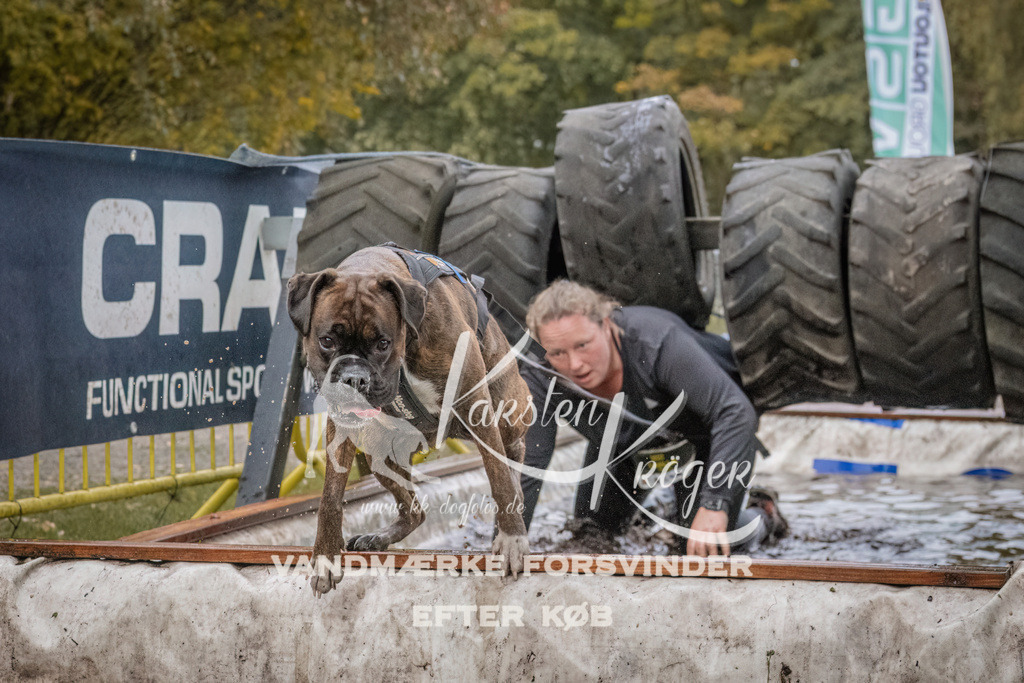 1627_ZZ93441 | kk-dogfotos