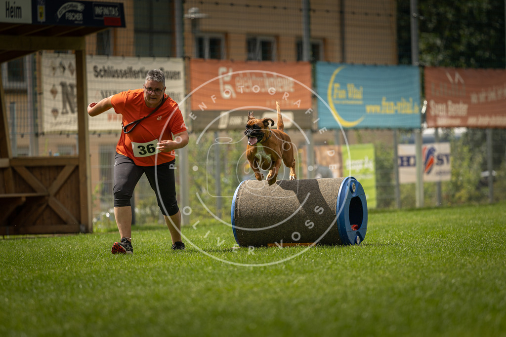 Pfotenfotografie_DV3A3579 | Hundefotografie, Tierfotograf, Pfotenfotografie, Fotoshooting Hund, Hunde Portrait, Hundesport, Hundeportraits, Heideshooting, Hunde, Sportfotograf, Hundefotograf, Turnierhundsport, THS,  - Realisiert mit Pictrs.com