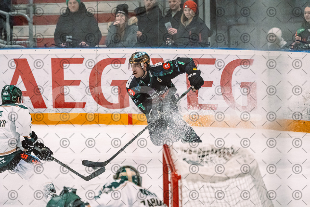 Alligators_vs_Erding_12_12_2025-184 | Höchstadt Alligators Fotogalerie: Eishockey-Action aus Franken. Professionelle Spielfotos, Portraits & Stadionbilder zum Download. Jetzt entdecken! - Realized with Pictrs.com
