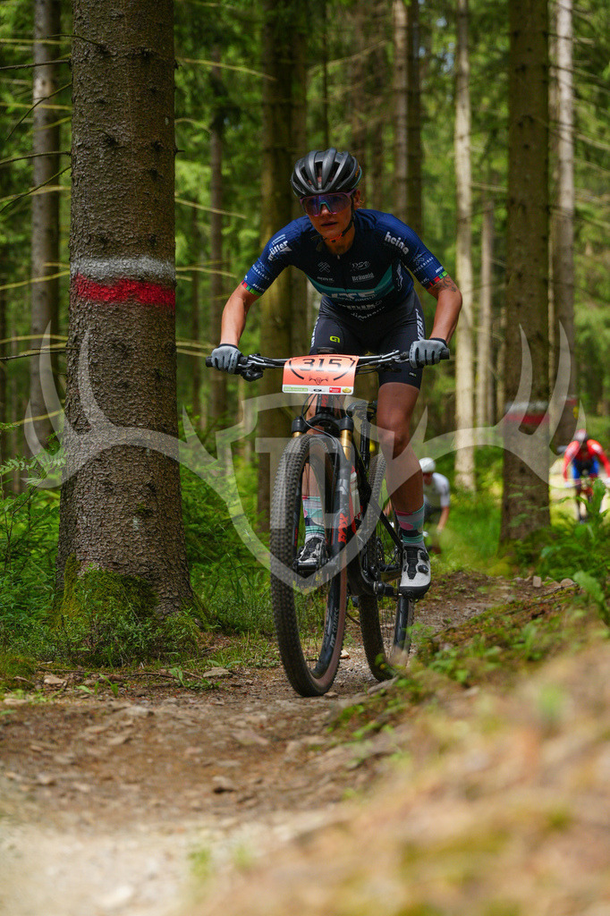 FC603732 | Fotogalerie der Treibjagd im Dunkelwald - Dein MTB Etappenrennen im Erzgebirge - Realisiert mit Pictrs.com