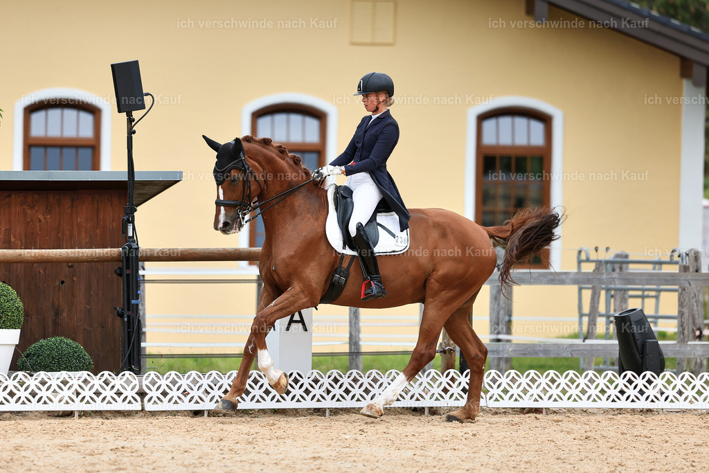 11-238-Dressur S___-StoibPH-982 | working equitationturnier fotograf videograf stoibphotography marixx film working equitation deutschland reitsport turnierfotografie eventfotografie equestrian events