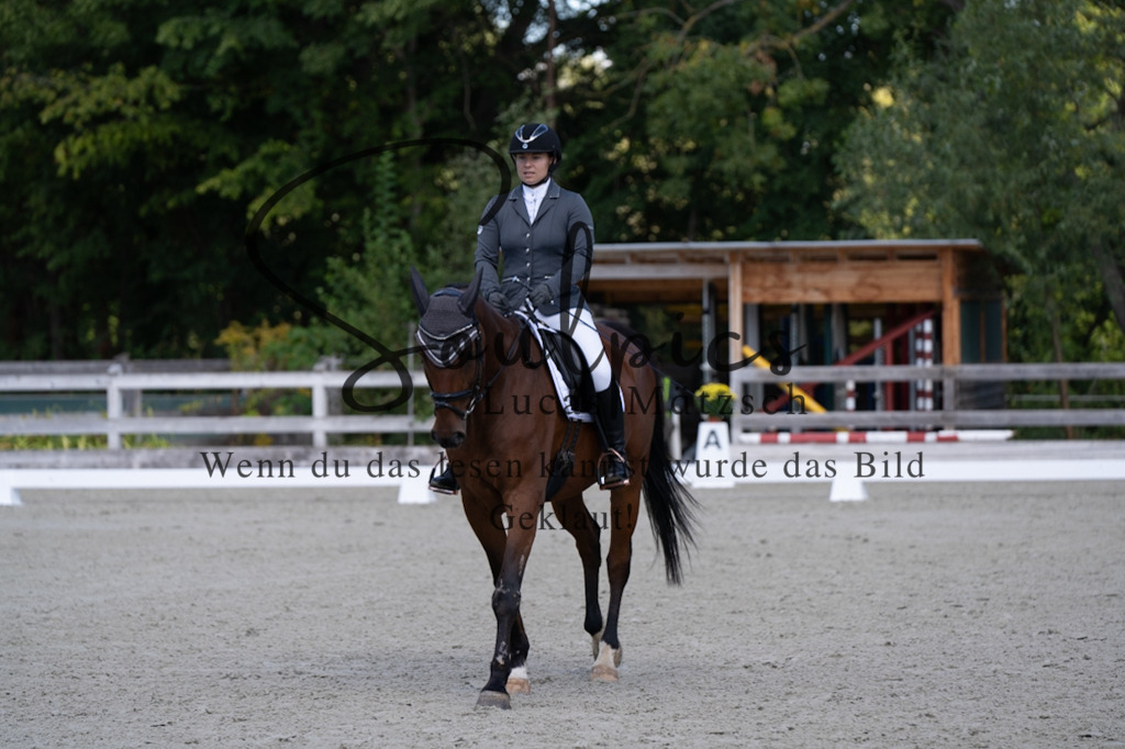 A7V07013 | Pferdefotograf