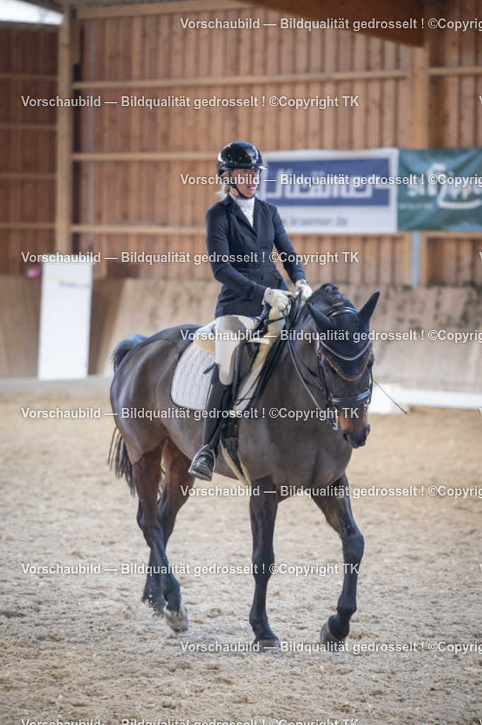 _D5A4999 | Emotionale Pferde- & People-Fotografie rund um Heidelberg, Leimen & Umgebung. Natürliche Fotos von Pferd, Mensch & Familie. Jetzt Termin sichern!