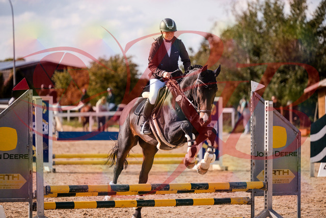 2026_10_03_Siefer-Hof_154258_Z81_60710137 | Professionelle Reitsport-, Turnier- und Eventfotografie von Robert Broda. Galerien mit ausgewählten und bearbeiteten Bildern direkt online ansehen und bestellen.