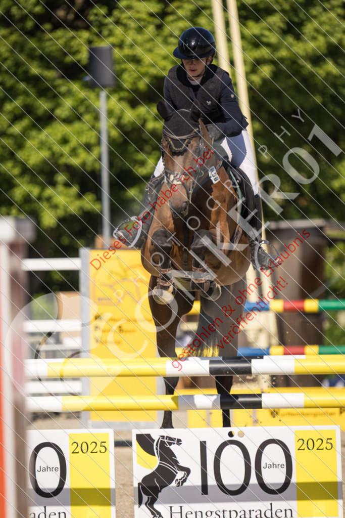 IMG_3245 | Sport-, Event- und Tierfotos in Profiqualität. Einfach auswählen, bestellen und herunterladen. Dein Moment – perfekt festgehalten.