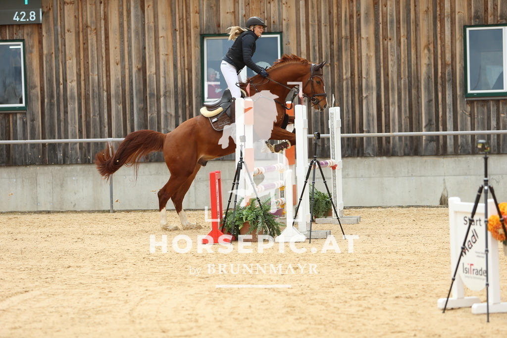 DL2Q2117 | Willkommen bei Brunnmayr - Design & Fotografie – Ihrem Spezialisten für Reitturniere und Pferdeveranstaltungen in Oberösterreich, Salzburg und Bayern! Seit über 17 Jahren sind wir leidenschaftlich dabei.