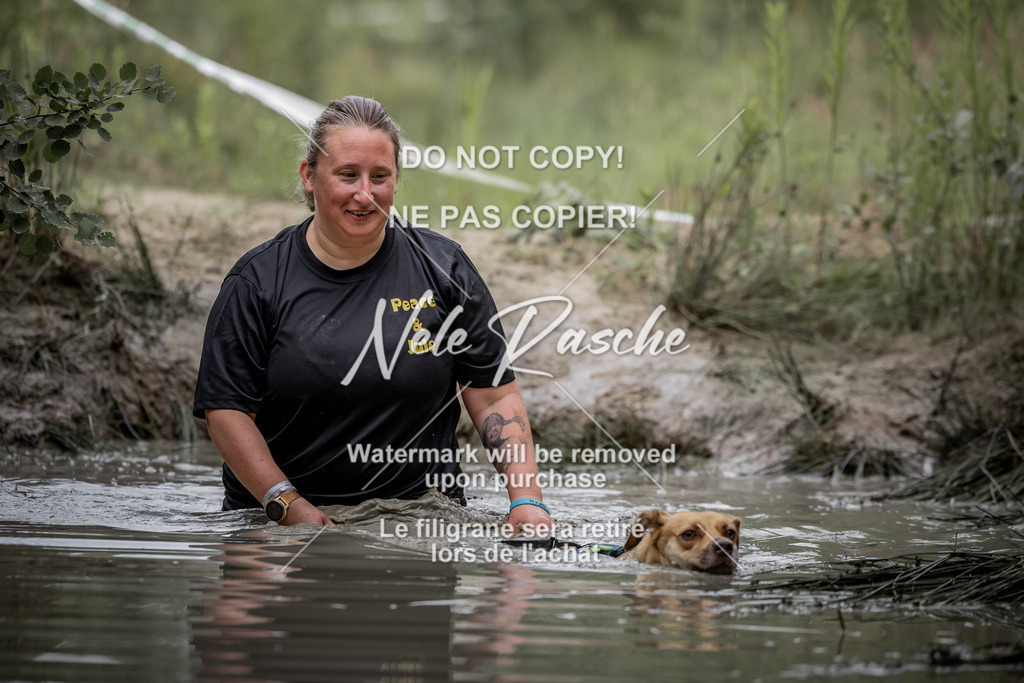 nelerasche_so0800-0930_103 | nelerasche