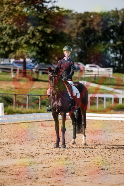 2026_10_03_Siefer-Hof_115809_Z63_31165372 | Professionelle Reitsport-, Turnier- und Eventfotografie von Robert Broda. Galerien mit ausgewählten und bearbeiteten Bildern direkt online ansehen und bestellen.