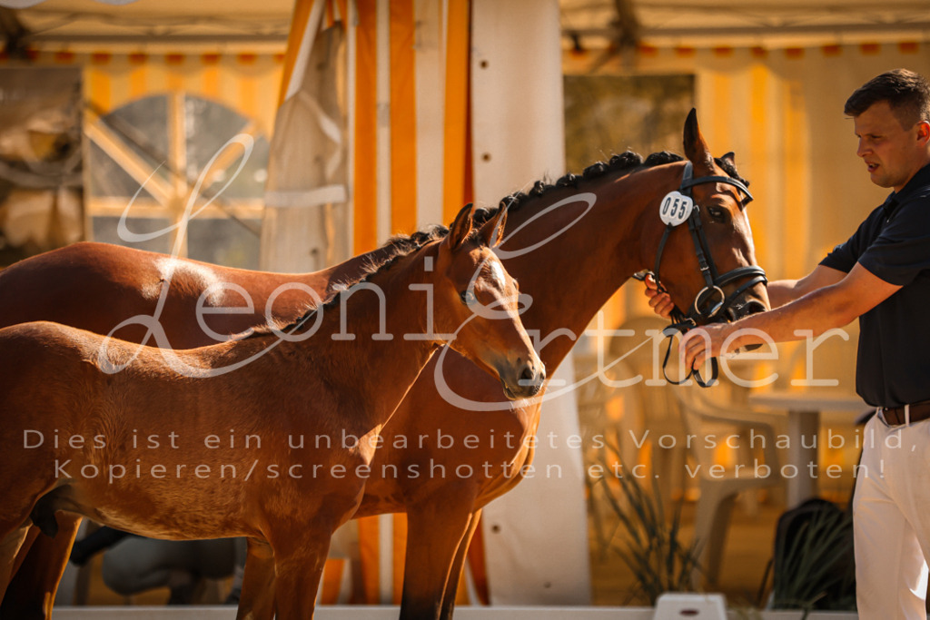 11.DoRP00115 | Leoni Ertmer Photography - Realisiert mit Pictrs.com