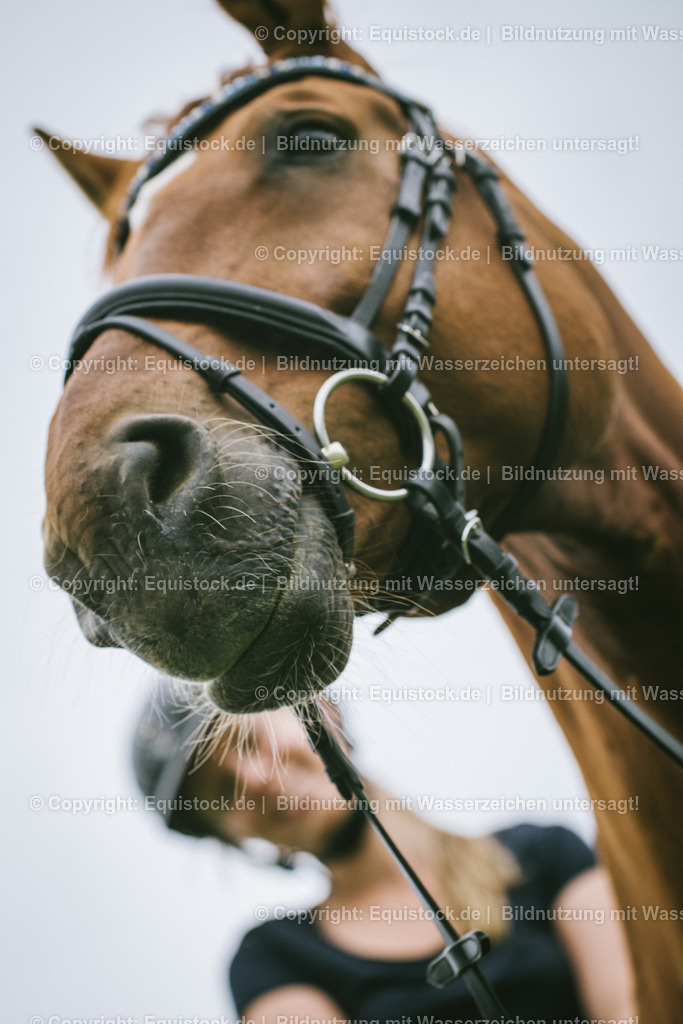 20150616_TOMsPiC_0183 | equistock