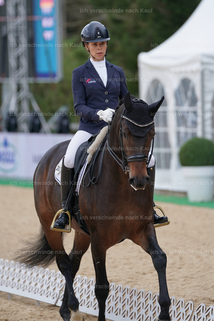 3-241-Dressur M_-Marixx-2185 | working equitationturnier fotograf videograf stoibphotography marixx film working equitation deutschland reitsport turnierfotografie eventfotografie equestrian events