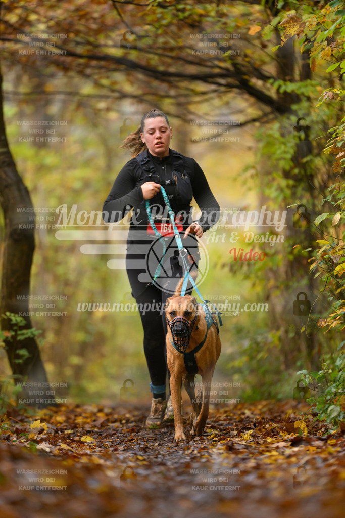 MompixPhotography_CD7S_DI_CCL-194 | mompixphotography