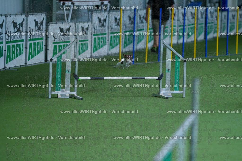 @allesWIRTHgut_Tierfotografie - www.allesWIRTHgut.de - 2604261446-7R503676 | Professionelle Tierfotografie in Mönchengladbach von Daniel Wirth (allesWIRTHgut). Liebevolle & natürliche Bilder von Hunden & Katzen für unvergessliche Erinnerungen.