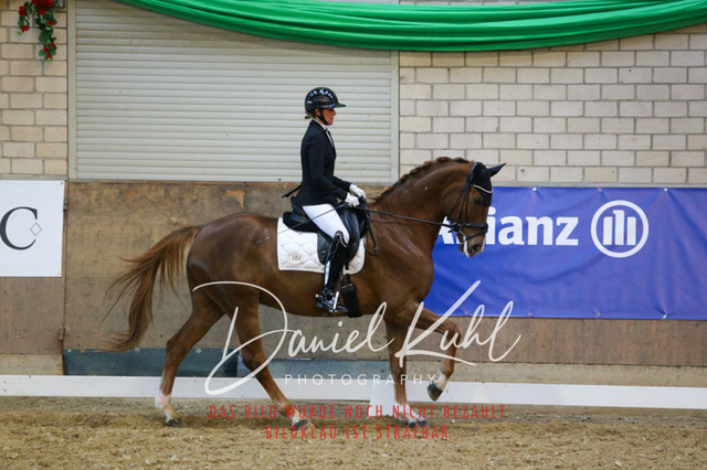 IMG_2946 | Turnierfotos kaufen im Webshop von Daniel Kuhl Photography – entdecke professionelle Reitsportfotos aus Turnieren & Events. Hochwertige Turnierbilder online bestellen & sichern. Jetzt Fotos von Reitsportturnieren kaufen!