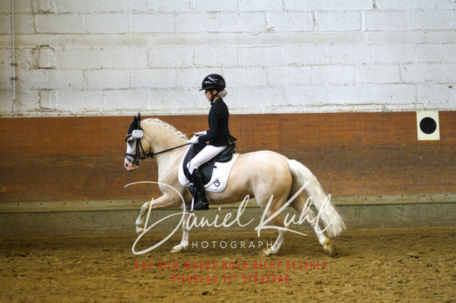 DKP43418 | Turniersportfotografie; Pferdefotografie; Dressurfotografie