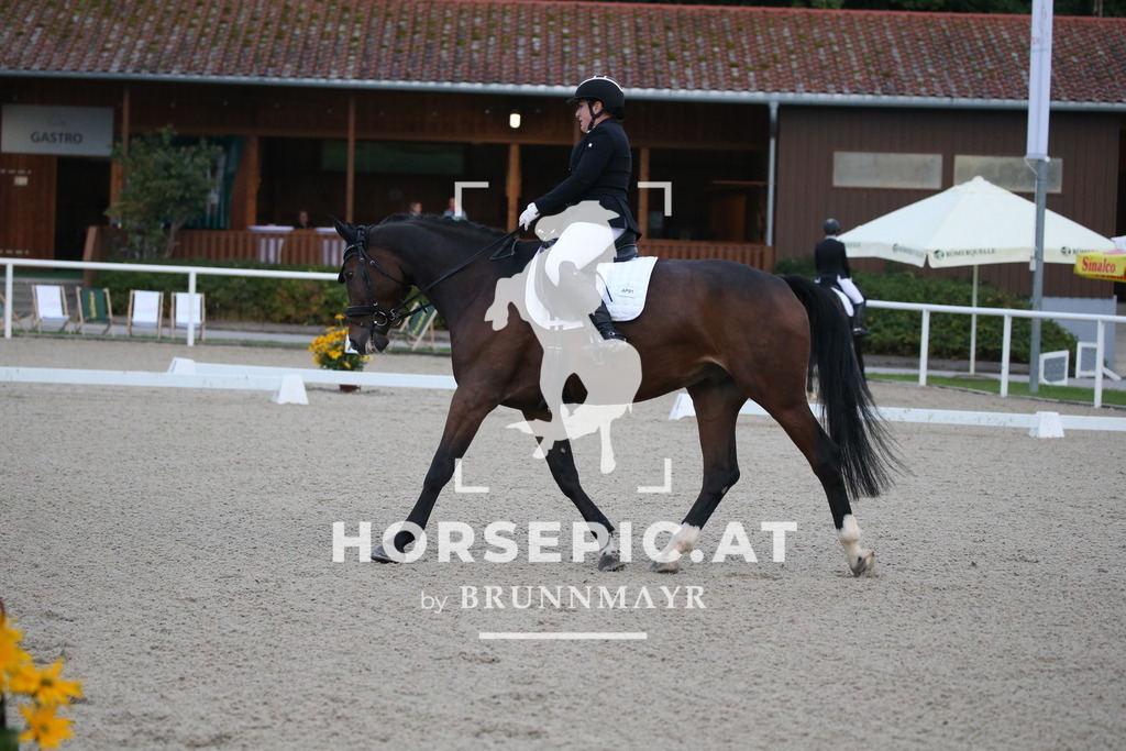 DL2Q1029 | Willkommen bei Brunnmayr - Design & Fotografie – Ihrem Spezialisten für Reitturniere und Pferdeveranstaltungen in Oberösterreich, Salzburg und Bayern! Seit über 17 Jahren sind wir leidenschaftlich dabei.