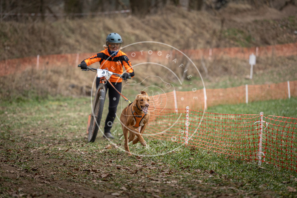 Pfotenfotografie_DV3A0434 | Hundefotografie, Tierfotograf, Pfotenfotografie, Fotoshooting Hund, Hunde Portrait, Hundesport, Hundeportraits, Heideshooting, Hunde, Sportfotograf, Hundefotograf, Turnierhundsport, THS,  - Realisiert mit Pictrs.com
