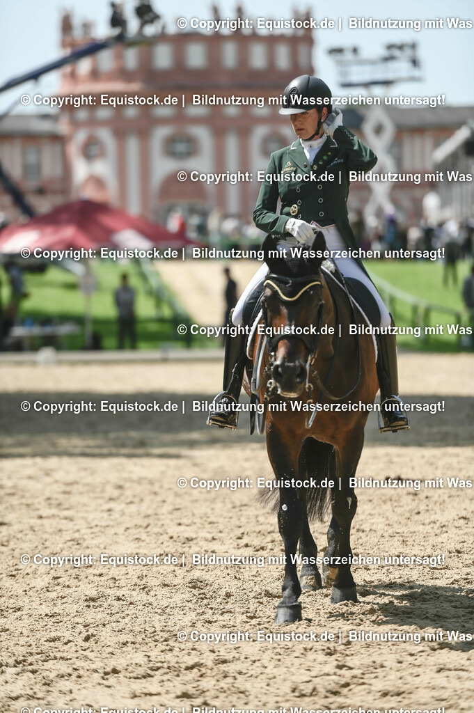 D78_2932 | equistock