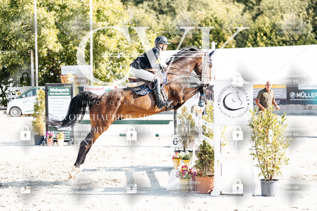 CK902133 | Turnierfotografie Pferdefotografie Trier Rheinland-Pfalz Pferdesport Reitsport Tierfotografie Sportfotografie Pferdevideo Pferdevideografie Equestrianvideography equestrianphotography  - Realisiert mit Pictrs.com