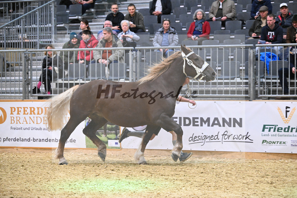 Kat-Nr. 38 Ulrike v. Voila_Daser_1260559 | hf-fotografie - Realisiert mit Pictrs.com