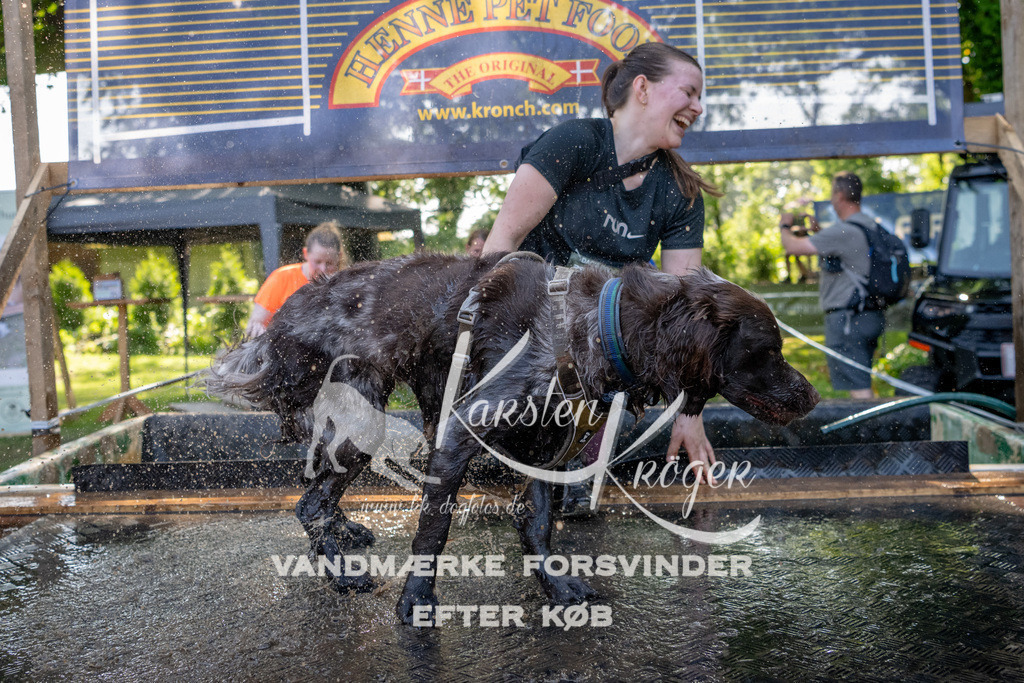 1542_ZZ92962 | kk-dogfotos