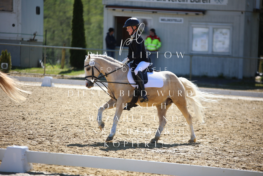 IMGT0617 | pl-fotografie