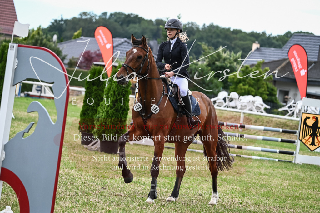 DSC_8500 | Pferde- und Turnierfotografie in Westsachsen. Pferdeportraits, Auftragszeichnungen und intuitive Kunst.