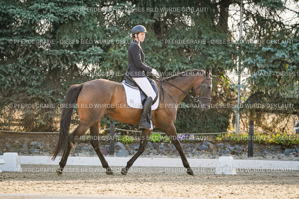 DSC08310 | Pferdegrafie