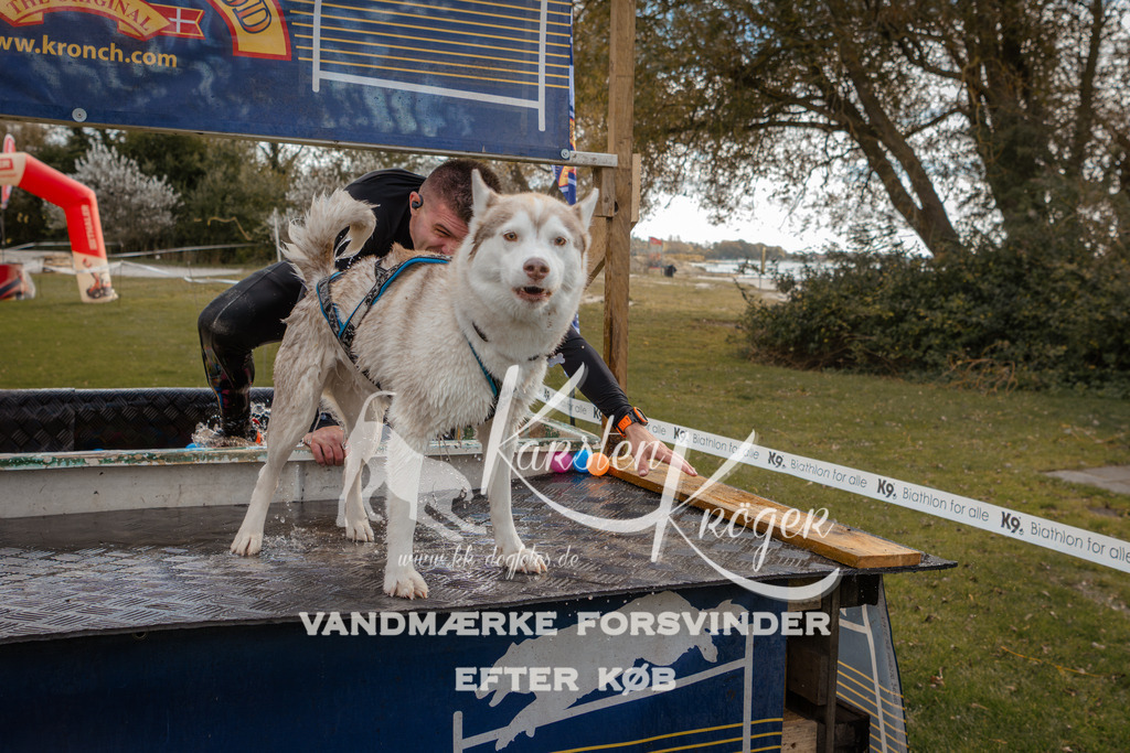 1341_ZZ91847-2 | kk-dogfotos