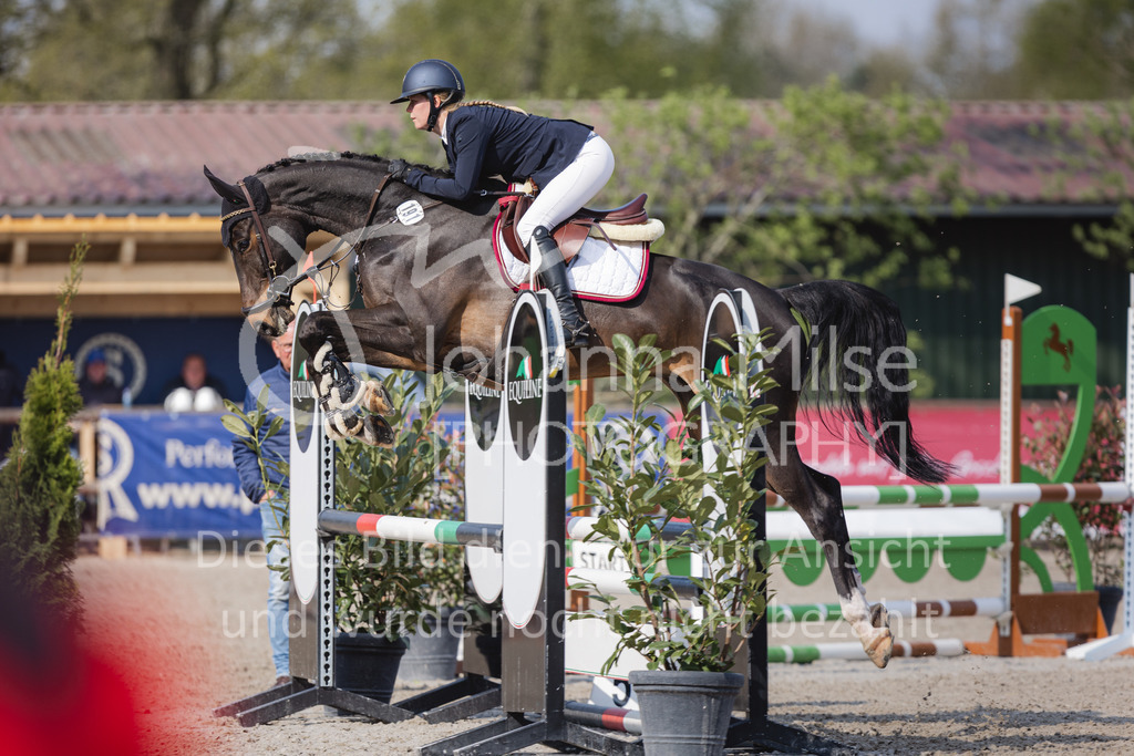 220426_Mühlen_SprPfA1-132 | Late Entry Mühlen
26.04.2022
01 Springpferde-A* 4-6j