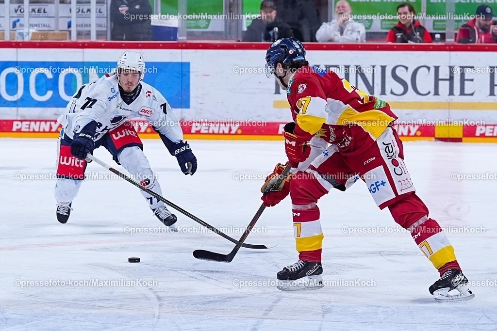 xYDRx20012601014 | 20.01.2026, xydrx, Eishockey, DEL2, Düsseldorfer EG - Blue Devils Weiden, PSD Bank Dome Düsseldorf: Cedric Schiemenz (Blue Devils Weiden #71) im Zweikampf gegen Lenny Boos (Düsseldorfer EG #37)   Photo: xYannisxDreimannxPressefotoKochx